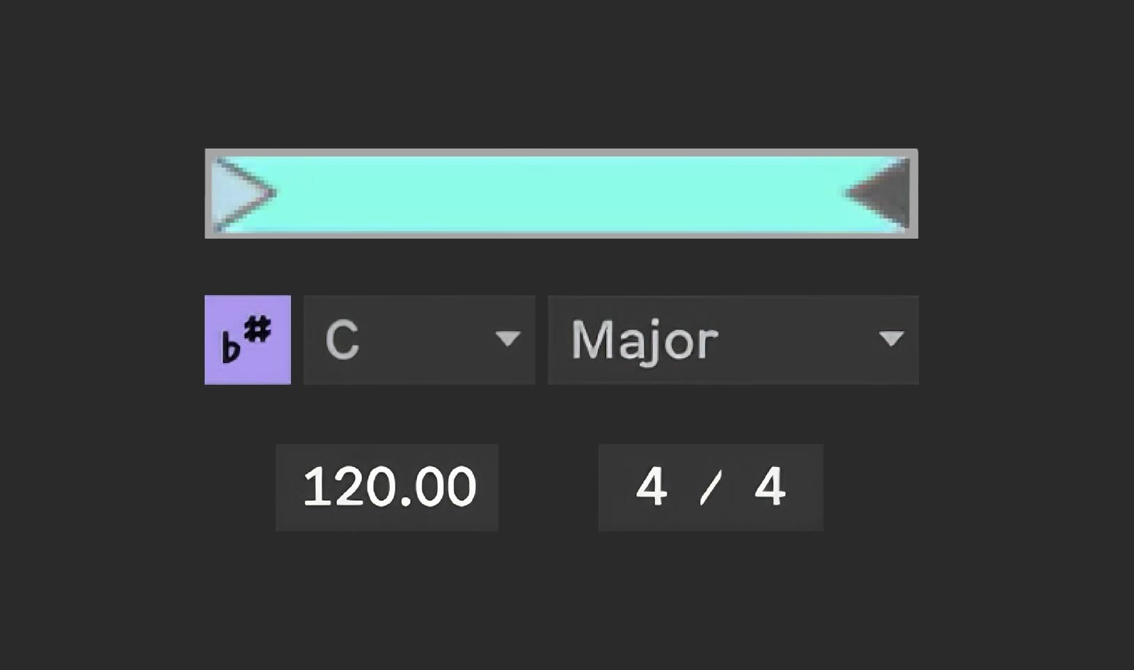 Scale selection interface